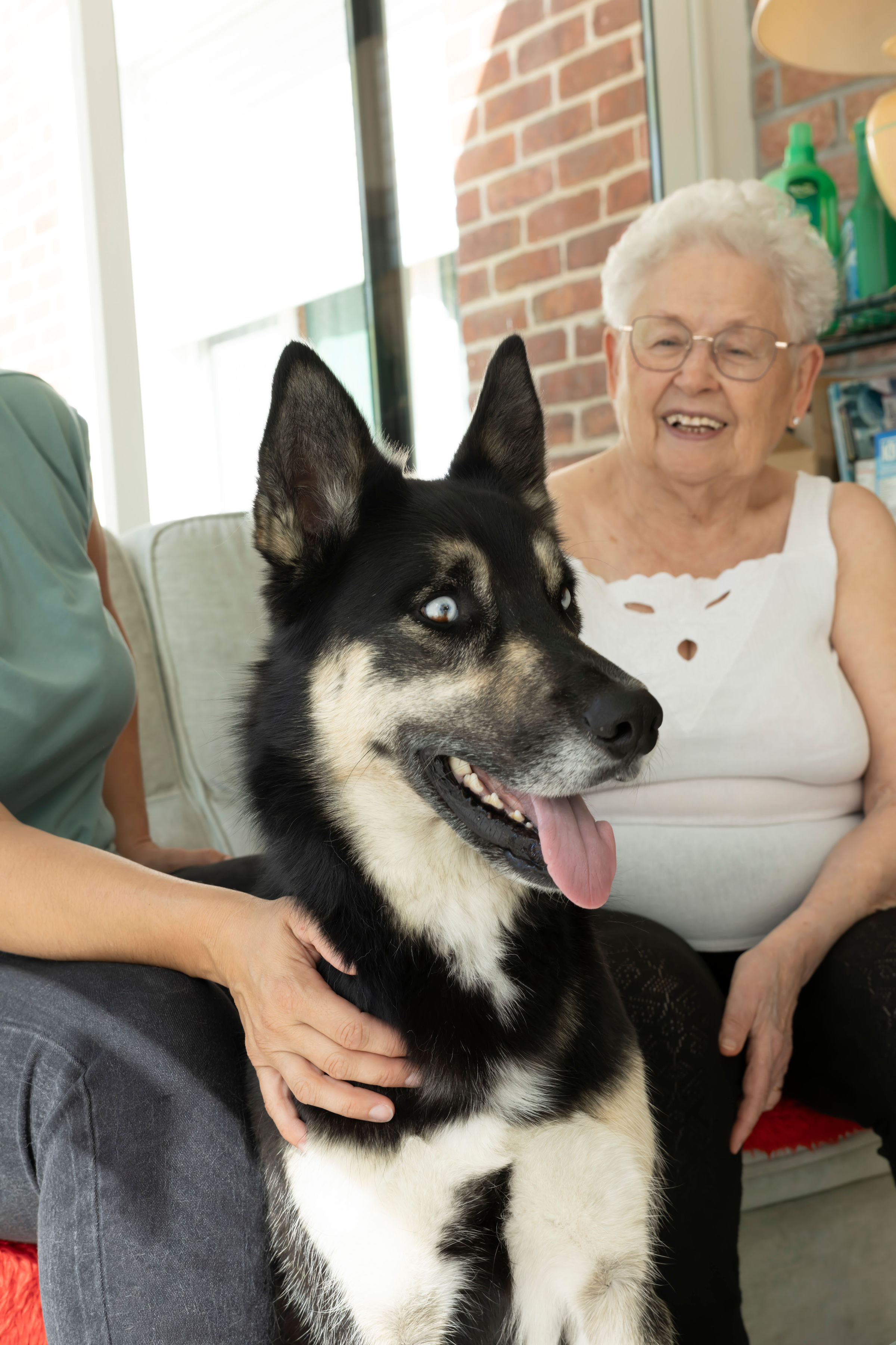 Pourquoi choisir APACH Services ?